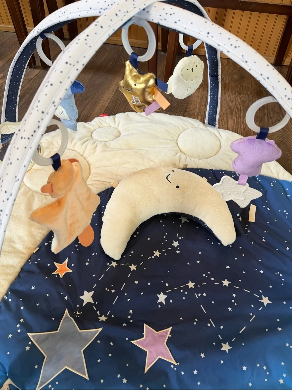 Skip Hop Celestial Dreams Play Gym / Tummy Time Mat & Moon Pillow